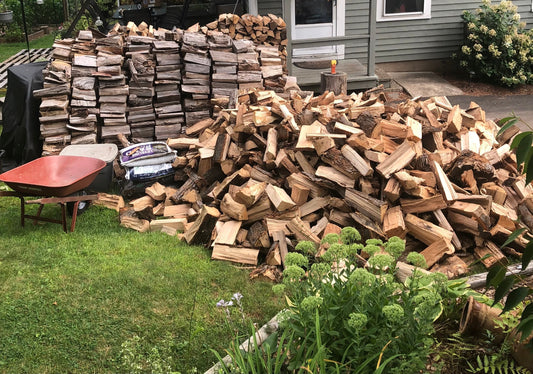 Whiskers, Axes, and Sawdust: A Meesylvanian Tale
