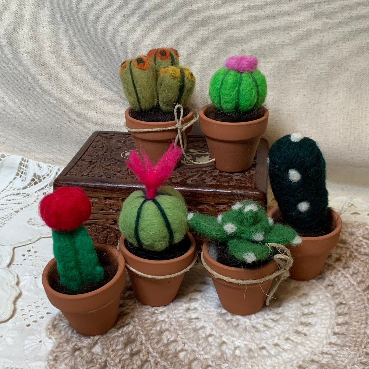 Collection of felted cacti in terracotta pots on a textured surface