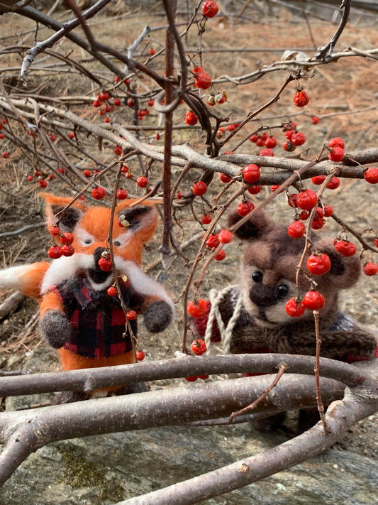 Barnabas the Bushcraft Bear searches for a Perfect Walking Stick