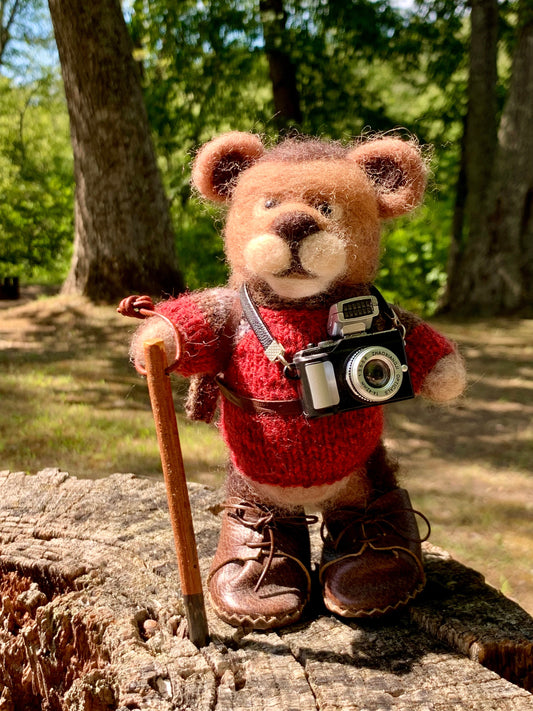 Barnabas the Bushcraft Bear and the Curious Case of Cousin Acorn