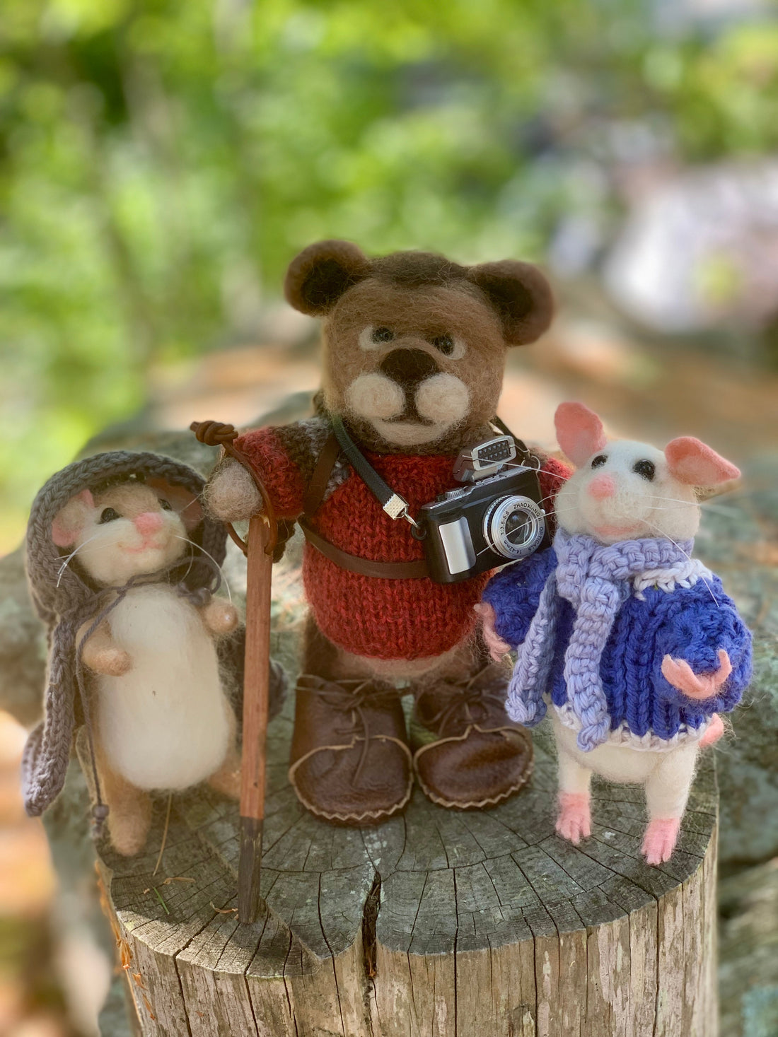Barnabas the Bushcraft Bear and the Mountaineering Marvels