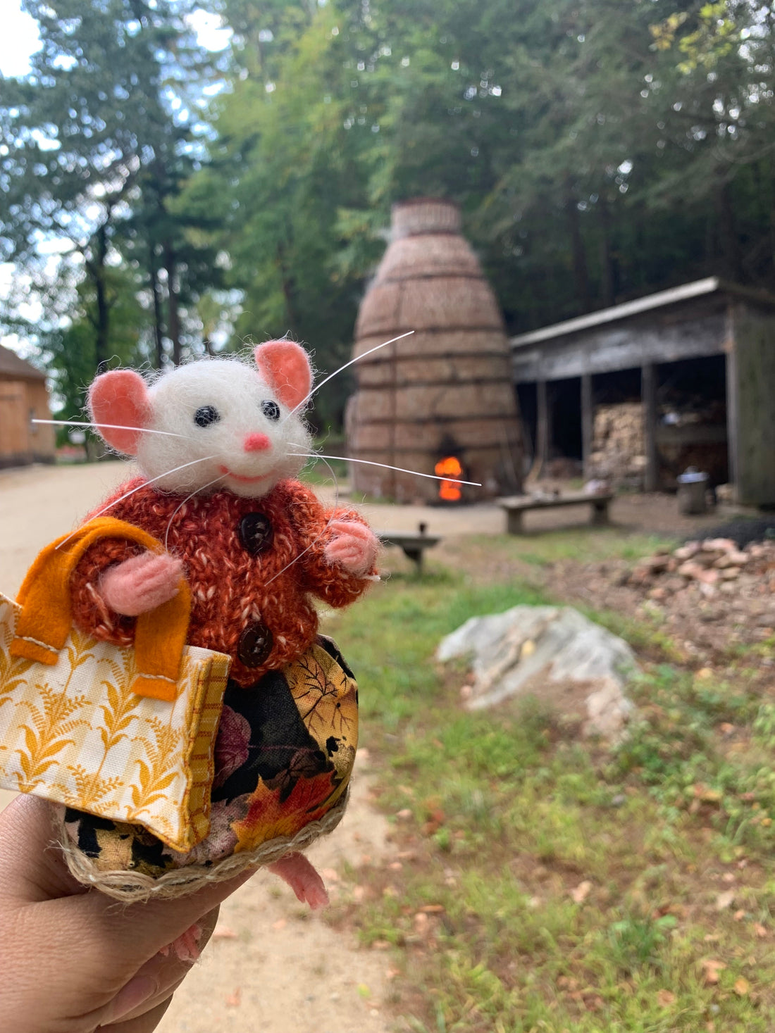 Eloise and the Wool-Spun Whirl of Time