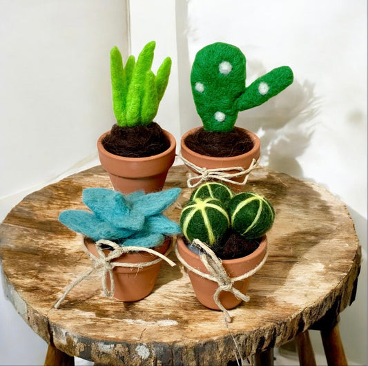 Set of felt succulent plants in terracotta pots on a wooden stool.