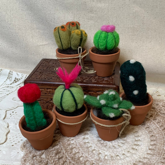 Collection of felted cacti in terracotta pots on a textured surface