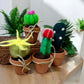 Felted cactus toys in terracotta pots on a wooden surface with plants in the background.