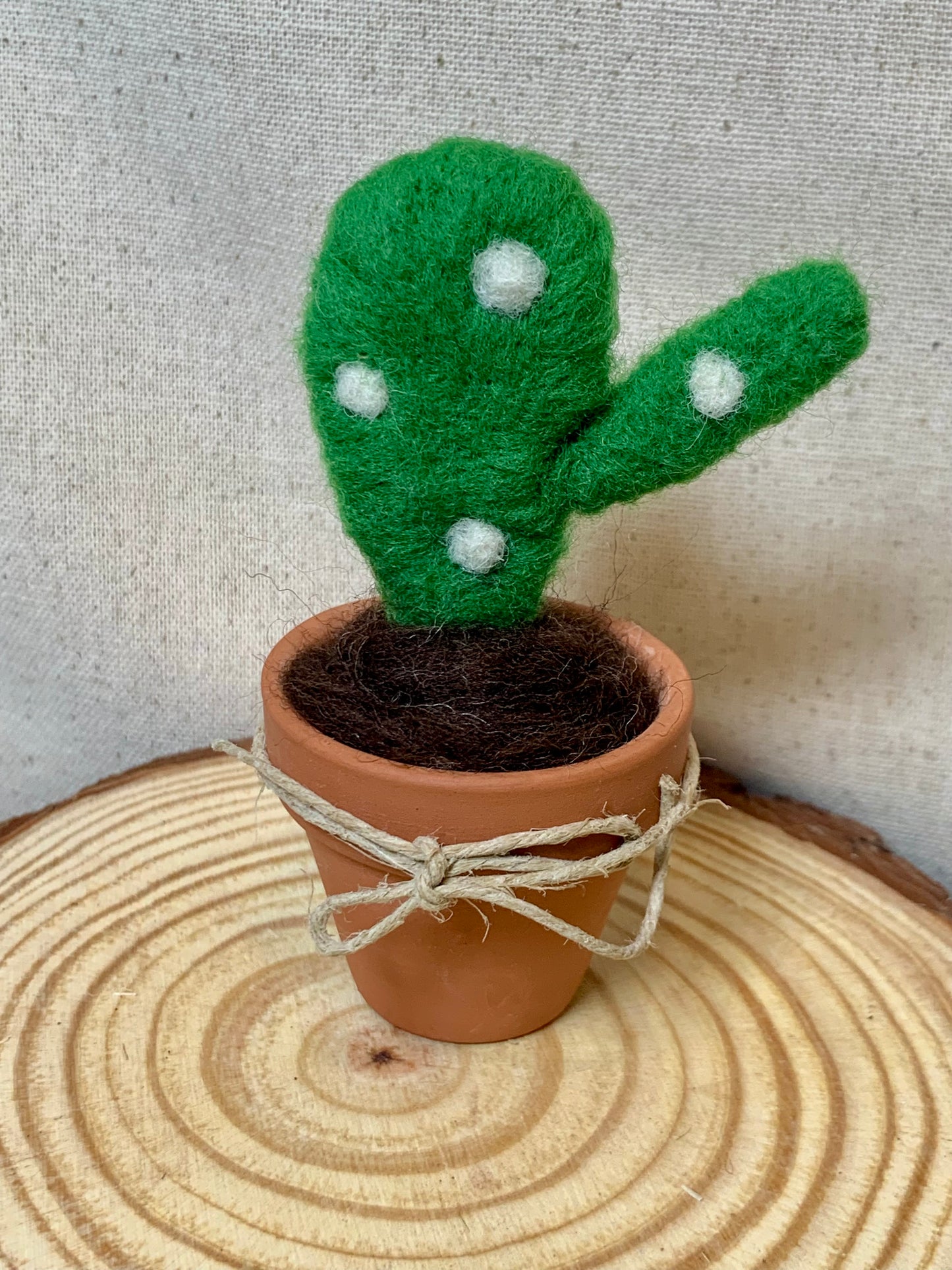 Felted Succulent Garden  - Needle Felting Workshop (Beginner Friendly)