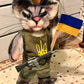 Javelina the Cat, Ukrainian Soldier, natural fiber friend, felted cat art doll, OOAK