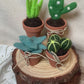 Felted Succulent Garden  - Needle Felting Workshop (Beginner Friendly)